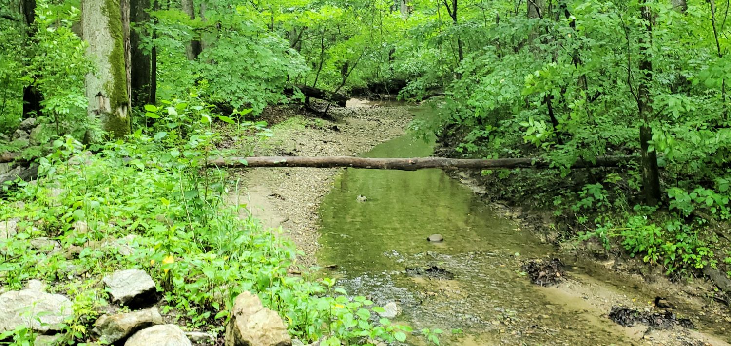 Fox Ridge State Park 